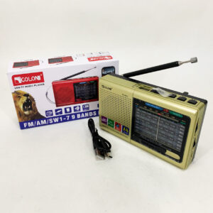 Портативне радіо MP3 USB Golon RX-6622 золотого кольору