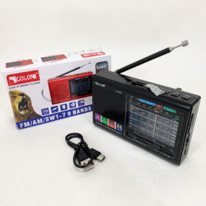 Портативне радіо MP3 USB Golon RX-6622 чорного кольору