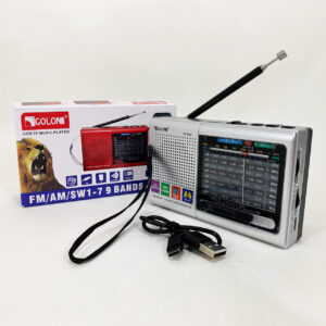 Портативне радіо MP3 USB Golon RX-6622 срібного колору