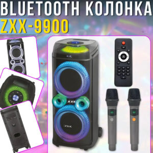 Портативна колонка ZXX-9900 з 2 мікрофонами 2×10 дюймів