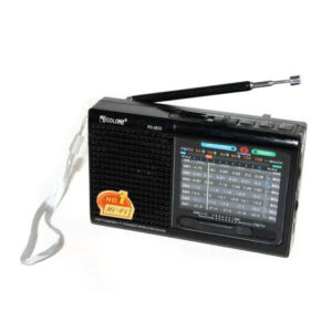 Портативне радіо MP3 USB Golon RX-6622 чорного кольору