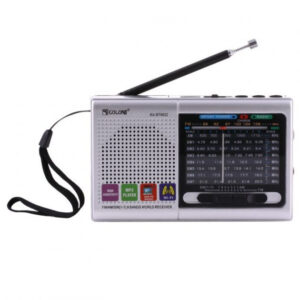 Портативне радіо MP3 USB Golon RX-6622 срібного колору